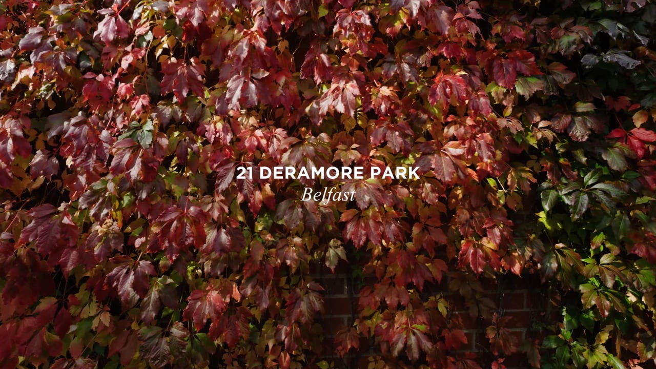 Still from the Phantom property film 21 Deramore Park