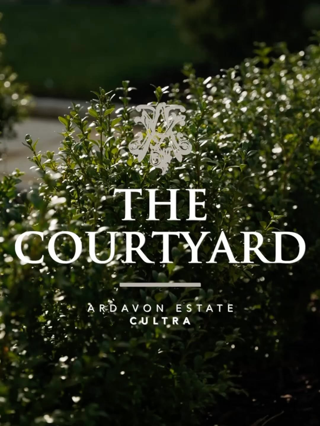 Phantom presenter-led property film still at the Courtyard at Ardavon Estate, a new homes development in Cultra